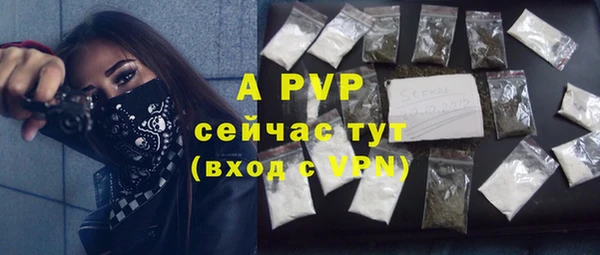 стаф Бронницы