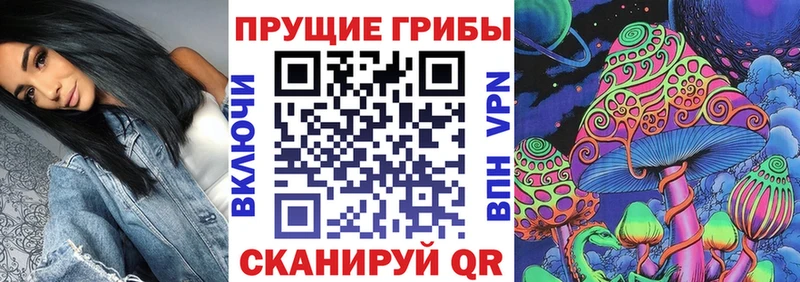 Псилоцибиновые грибы прущие грибы  darknet телеграм  Кизилюрт 